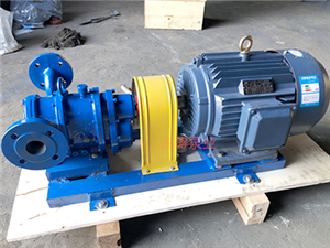 泊頭海濤泵業(yè)LZB轉子泵-LZB螺旋轉子泵