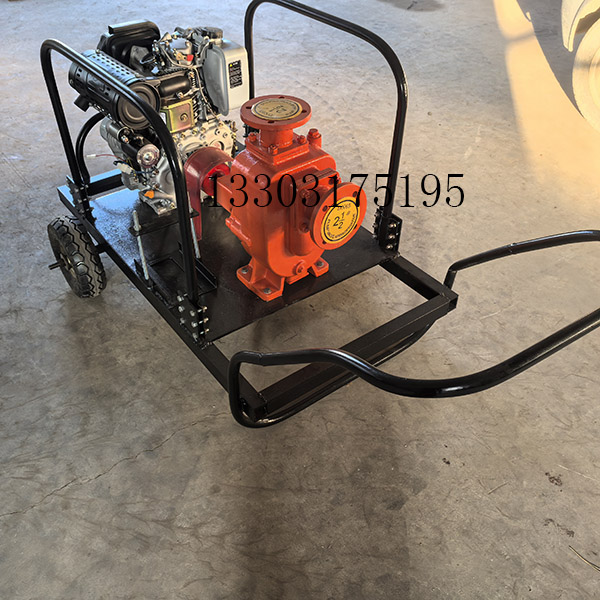 柴油機(jī)排污泵