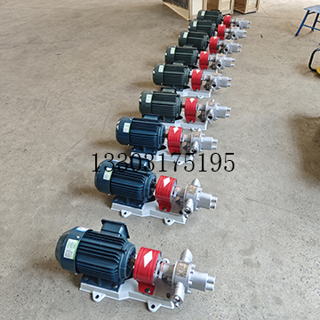 BW-B-2不銹鋼半保溫泵