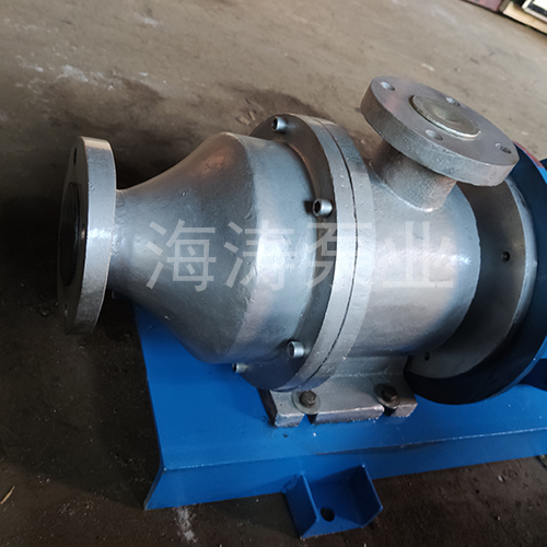 HVP15/0.6高真空出料泵細節(jié)剖析圖