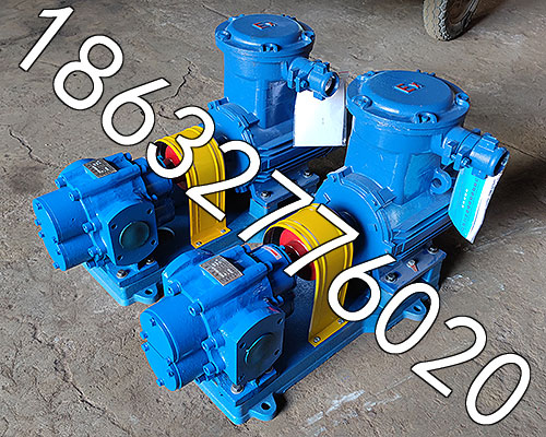 外潤(rùn)滑齒輪泵